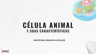 CÉLULA ANIMAL
E SUAS CARACTERÍSTICAS
DISCIPLINA: BIOLOGIA CELULAR
 