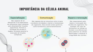 Especialização Comunicação Reparo e renovação
IMPORTÂNCIA DA CÉLULA ANIMAL
São capazes de se
diferenciar e se especializar
em diferentes tipos celulares
para desempenhar funções
específicas. Permite a
formação de tecidos e
órgãos, tornando possível a
execução de funções
complexas
São capazes de se comunicar entre si para
coordenar atividades e manter a homeostase
do organismo. Elas enviam sinais químicos,
como hormônios e neurotransmissores
São responsáveis pelo
reparo e renovação dos
tecidos do organismo. Por
exemplo, em caso de
ferimentos, as células se
dividem e se diferenciam
para substituir as células
danificadas e restaurar a
integridade dos tecidos.
 