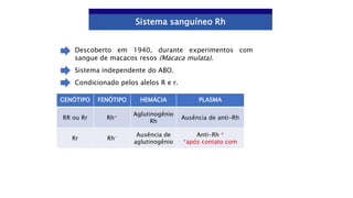Sistema sanguíneo Rh
Descoberto em 1940, durante experimentos com
sangue de macacos resos (Macaca mulata).
Sistema independente do ABO.
Condicionado pelos alelos R e r.
GENÓTIPO FENÓTIPO HEMÁCIA PLASMA
RR ou Rr Rh+ Aglutinogênio
Rh
Ausência de anti-Rh
Rr Rh- Ausência de
aglutinogênio
Anti-Rh *
*após contato com
 
