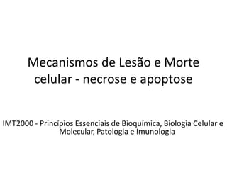 Mecanismos de Lesão e Morte
celular - necrose e apoptose
IMT2000 - Princípios Essenciais de Bioquímica, Biologia Celular e
Molecular, Patologia e Imunologia
 