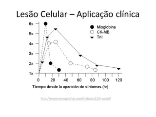 Lesão Celular – Aplicação clínica
http://www.monografias.com/trabajos12/troponi/
 