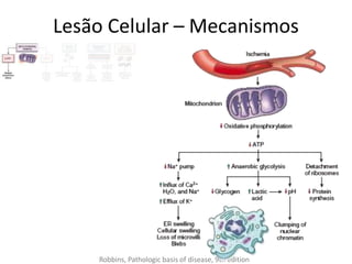 Lesão Celular – Mecanismos
Robbins, Pathologic basis of disease, 9th edition
 