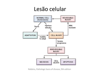 Lesão celular
Robbins, Pathologic basis of disease, 9th edition
 