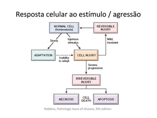 Resposta celular ao estímulo / agressão
Robbins, Pathologic basis of disease, 9th edition
 