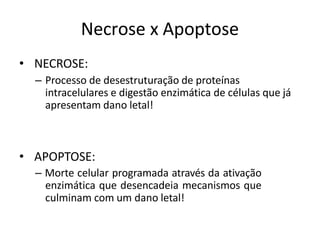 Necrose x Apoptose
• NECROSE:
– Processo de desestruturação de proteínas
intracelulares e digestão enzimática de células que já
apresentam dano letal!
• APOPTOSE:
– Morte celular programada através da ativação
enzimática que desencadeia mecanismos que
culminam com um dano letal!
 