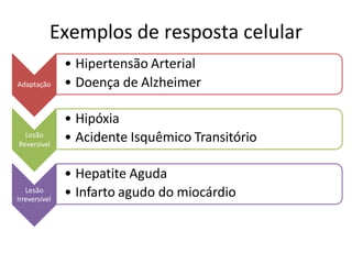 Exemplos de resposta celular
Adaptação
• Hipertensão Arterial
• Doença de Alzheimer
Lesão
Reversível
• Hipóxia
• Acidente Isquêmico Transitório
Lesão
Irreversível
• Hepatite Aguda
• Infarto agudo do miocárdio
 