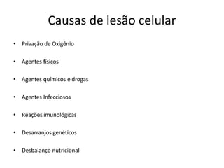 Causas de lesão celular
• Privação de Oxigênio
• Agentes físicos
• Agentes químicos e drogas
• Agentes Infecciosos
• Reações imunológicas
• Desarranjos genéticos
• Desbalanço nutricional
 