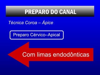 Com limas endodônticas PREPARO DO CANAL Técnica Coroa – Ápice Preparo Cérvico–Apical 