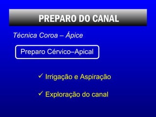 <ul><li>Irrigação e Aspiração </li></ul><ul><li>Exploração do canal </li></ul>PREPARO DO CANAL Técnica Coroa – Ápice Prepa...