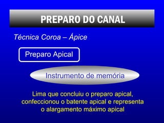 Lima que concluiu o preparo apical, confeccionou o batente apical e representa o alargamento máximo apical PREPARO DO CANA...