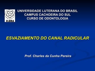 UNIVERSIDADE LUTERANA DO BRASIL CAMPUS CACHOEIRA DO SUL CURSO DE ODONTOLOGIA ESVAZIAMENTO DO CANAL RADICULAR Prof. Charles da Cunha Pereira 