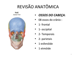 REVISÃO ANATÔMICA
2
• OSSOS DO CABEÇA:
• 08 ossos do crânio :
• 1- frontal
• 1- occipital
• 2- Temporais
• 2- parietais
• 1-esfenóide
• 1 etmóide
 