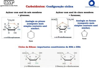 Açúcar com anel de seis membros
= piranose;
Analogia ao pirano
(composto mais
simples contento anel
similar).
Açúcar com anel de cinco membros
= furanose;
Analogia ao furano
(composto mais
simples contento anel
similar).
Ciclos da Ribose: importantes constituintes do RNA e DNA
Carboidratos: Configuração cíclica
 