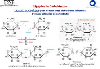 Ligações de Carboidratos
LIGAÇÃO GLICOSÍDICA: pode ocorrer entre carboidratos diferentes
- Formam polímeros de carboidratos
 