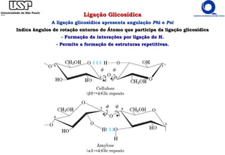 Ligação Glicosídica
A ligação glicosídica apresenta angulação Phi e Psi
Indica ângulos de rotação entorno do Átomo que participa da ligação glicosídica
- Formação de interações por ligação de H.
- Permite a formação de estruturas repetitivas.
 