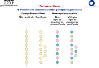 Polissacarídeos
 Polímeros de carboidratos unidos por ligações glicosídicas
 