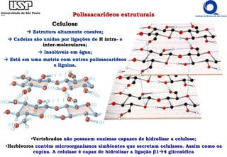 Polissacarídeos estruturais
•Vertebrados não possuem enzimas capazes de hidrolisar a celulose;
•Herbívoros contém microorganismos simbiontes que secretam celulases. Assim como os
cupins. A celulase é capaz de hidrolisar a ligação β14 glicosídica
Celulose
 Estrutura altamente coesiva;
 Cadeias são unidas por ligações de H intra- e
inter-moleculares;
 Insolúveis em água;
 Está em uma matriz com outros polissacarídeos
e lignina.
 