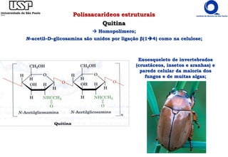 Polissacarídeos estruturais
Quitina
 Homopolímero;
N–acetil–D–glicosamina são unidos por ligação β(14) como na celulose;
Exoesqueleto de invertebrados
(crustáceos, insetos e aranhas) e
parede celular da maioria dos
fungos e de muitas algas;
 