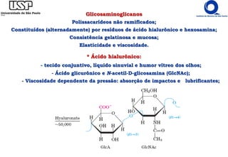 Glicosaminoglicanos
Polissacarídeos não ramificados;
Constituídos (alternadamente) por resíduos de ácido hialurônico e hexosamina;
Consistência gelatinosa e mucosa;
Elasticidade e viscosidade.
* Ácido hialurônico:
- tecido conjuntivo, líquido sinuvial e humor vítreo dos olhos;
- Ácido glicurônico e N-acetil-D-glicosamina (GlcNAc);
- Viscosidade dependente da pressão: absorção de impactos e lubrificantes;
 