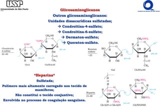 Glicosaminoglicanos
Outros glicosaminoglicanos:
Unidades dissacarídicas sulfatadas;
 Condroitina-4-sulfato;
 Condroitina-6-sulfato;
 Dermaton-sulfato;
 Queraton-sulfato.
*Heparina*
Sulfatada;
Polímero mais altamente carregado nos tecido de
mamíferos;
Não constitui o tecido conjuntivo;
Envolvida no processo de coagulação sanguínea.
 