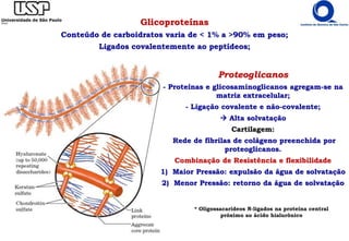 Glicoproteínas
Conteúdo de carboidratos varia de < 1% a >90% em peso;
Ligados covalentemente ao peptídeos;
Proteoglicanos
- Proteínas e glicosaminoglicanos agregam-se na
matriz extracelular;
- Ligação covalente e não-covalente;
 Alta solvatação
Cartilagem:
Rede de fibrilas de colágeno preenchida por
proteoglicanos.
Combinação de Resistência e flexibilidade
1) Maior Pressão: expulsão da água de solvatação
2) Menor Pressão: retorno da água de solvatação
* Oligossacarídeos N-ligados na proteína central
próximo ao ácido hialurônico
 