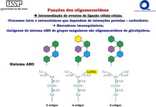 Funções dos oligossacarídeos
 Intermediação de eventos de ligação célula-célula;
-Processos intra e extracelulares que dependem de interações proteína – carboidrato.
 Marcadores imunoquímicos;
-Antígenos do sistema ABO de grupos sanguíneos são oligossacarídeos de glicolipídeos.
Sistema ABO
 