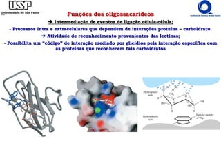 Funções dos oligossacarídeos
 Intermediação de eventos de ligação célula-célula;
- Processos intra e extracelulares que dependem de interações proteína – carboidrato.
 Atividade de reconhecimento provenientes das lectinas;
- Possibilita um “código” de interação mediado por glicídios pela interação específica com
as proteínas que reconhecem tais carboidratos
 