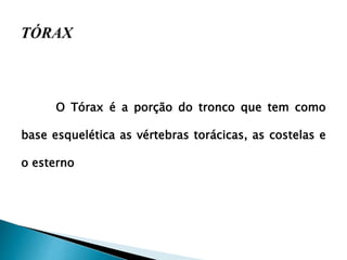 O Tórax é a porção do tronco que tem como
base esquelética as vértebras torácicas, as costelas e
o esterno
 