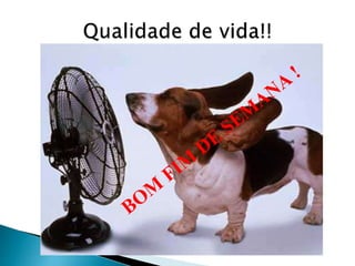 Aula torax