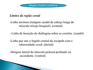Região Costal e Cardíaca
Limites da região costal
-Linha ancônea (margem caudal da cabeça longa do
músculo tríceps braquial). (cranial)
- Linha de inserção do diafragma sobre as costelas. (caudal)
-Linha que une o ângulo cranial da escapula com a
tuberosidade coxal. (dorsal)
-Margem lateral do músculo peitoral profundo ou
ascendente. (ventral)
 