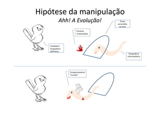 Hipótese da manipulação
           Ahh! A Evolução!          Presa
                                   escondida
                                    na toca
                     Parasita
                     manipulador




   Predador/
   hospedeiro
   definitivo
                                                Hospedeiro
                                               intermediário




                Comportamento
                “suicida”
 