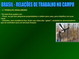 • 22.. TTRRAABBAALLHHOO AASSSSAALLAARRIIAADDOO 
• OOss bbóóiiaa--ffrriiaass ppooddeemm sseerr:: 
-- FFiixxooss,, ooss qquuee tteemm ppeeqquueennaass pprroopprriieeddaaddeess ee vvoollttaamm ppaarraa ccaassaa,, ppaarraa ttrraabbaallhhaarr eemm ssuuaass 
rrooççaass 
-- VVoollaanntteess,, sseemm rreessiiddêênncciiaa ffiixxaa,, ffiiccaamm nnaass mmããooss ddooss ““ggaattooss””,, vveerrddaaddeeiirrooss aattrraavveessssaaddoorreess 
qquuee ooss ccoonnttrraattaamm ppaarraa ooss sseerrvviiççooss bbrraaççaaiiss 
 