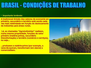 • IImmppoorrttaannttee lleemmbbrreettee:: 
AA ttrraaddiicciioonnaall ddiivviissããoo ddooss sseettoorreess ddaa eeccoonnoommiiaa eemm 
pprriimmáárriioo,, sseeccuunnddáárriioo ee tteerrcciiáárriioo eessttáá sseennddoo ccaaddaa 
vveezz mmaaiiss rreellaattiivviizzaaddaa eemm ffuunnççããoo ddoo ddeessllooccaammeennttoo 
ddee iinnddúússttrriiaass ppaarraa áárreeaass rruurraaiiss.. 
LLáá,, aass cchhaammaaddaass ““AAggrrooiinnddúússttrriiaass”” rreeaalliizzaamm,, 
nnuummaa mmeessmmaa pprroopprriieeddaaddee,, ffuunnççõõeess ddoo sseettoorr 
pprriimmáárriioo ((mmaattéérriiaa--pprriimmaa)),, sseeccuunnddáárriioo 
((ttrraannssffoorrmmaaççããoo)) ee tteerrcciiáárriioo ((ccoomméérrcciioo ee sseerrvviiççooss)),, 
oouu sseejjaa...... 
......pprroodduuzzeemm aa mmaattéérriiaa--pprriimmaa ((ppoorr eexxeemmpplloo,, aa 
ccaannaa--ddee--aaççúúccaarr)),, ttrraannssffoorrmmaamm ((eemm eettaannooll)) ee 
ccoommeerrcciiaalliizzaamm.. 
 