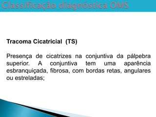 Tracoma Cicatricial (TS)
Presença de cicatrizes na conjuntiva da pálpebra
superior. A conjuntiva tem uma aparência
esbranquiçada, fibrosa, com bordas retas, angulares
ou estreladas;
 