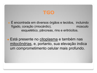 TGO
● É encontrada em diversos órgãos e tecidos, incluindo
fígado, coração (miocárdio), músculo
esquelético, pâncreas, rins e eritrócitos.
● Está presente no citoplasma e também nas
mitocôndrias, e, portanto, sua elevação indica
um comprometimento celular mais profundo.
 