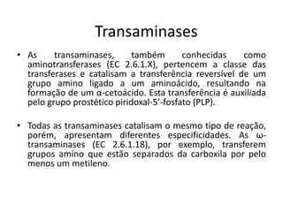 • As transaminases, também conhecidas como
aminotransferases (EC 2.6.1.X), pertencem a classe das
transferases e catalisam a transferência reversível de um
grupo amino ligado a um aminoácido, resultando na
formação de um α-cetoácido. Esta transferência é auxiliada
pelo grupo prostético piridoxal-5’-fosfato (PLP).
• Todas as transaminases catalisam o mesmo tipo de reação,
porém, apresentam diferentes especificidades. As ω-
transaminases (EC 2.6.1.18), por exemplo, transferem
grupos amino que estão separados da carboxila por pelo
menos um metileno.
Transaminases
 