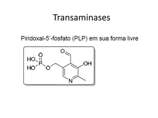 Transaminases
 