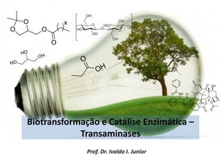 Biotransformação e Catálise Enzimática –
Transaminases
Prof. Dr. Ivaldo I. Junior
 