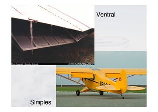 VentralVentral
SimplesSimples
 