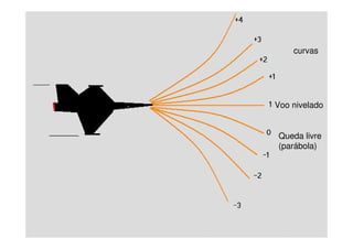 Queda livre
(parábola)
Voo nivelado
curvas
 