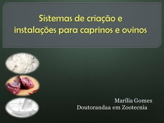 Marília Gomes
Doutorandaa em Zootecnia
 