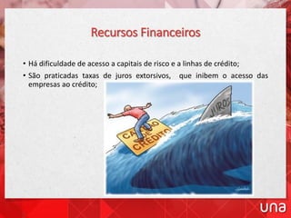 Recursos Financeiros
• Há dificuldade de acesso a capitais de risco e a linhas de crédito;
• São praticadas taxas de juros extorsivos, que inibem o acesso das
empresas ao crédito;
 