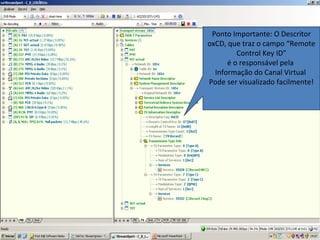 Ponto Importante: O Descritor
oxCD, que traz o campo “Remote
Control Key ID”
é o responsável pela
Informação do Canal Virtual
Pode ser visualizado facilmente!
 