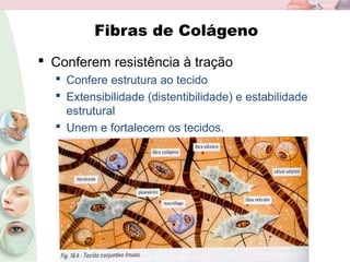 Fibras de Colágeno
 Conferem resistência à tração
 Confere estrutura ao tecido
 Extensibilidade (distentibilidade) e estabilidade
estrutural
 Unem e fortalecem os tecidos.
 