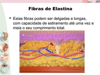 Fibras de Elastina
 Estas fibras podem ser delgadas e longas,
com capacidade de estiramento até uma vez e
meia o seu comprimento total.
 