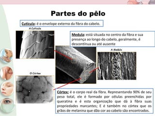Partes do pêlo
Cutícula: é o envelope externo da fibra do cabelo.
Córtex: é o corpo real da fibra. Representando 90% de seu
peso total, ele é formado por células preenchidas por
queratina e é esta organização que dá à fibra suas
propriedades marcantes; E é também no córtex que os
grãos de melanina que dão cor ao cabelo são encontrados.
Medula: está situada no centro da fibra e sua
presença ao longo do cabelo, geralmente, é
descontínua ou até ausente
 