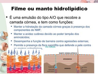 Filme ou manto hidrolipídico
 É uma emulsão do tipo A/O que recobre a
camada córnea, e tem como funções:
 Manter a hidratação da camada córnea graças à presença dos
componentes do NMF;
 Manter a acidez cutânea devido ao poder tampão dos
aminoácidos;
 Desempenha a função de barreira contra agressões externas;
 Permite a presença da flora saprófita que defende a pele contra
os germes patogênicos.
 