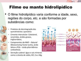 Filme ou manto hidrolipídico
 O filme hidrolipídico varia conforme a idade, sexo,
regiões do corpo, etc. e são formadas por
substâncias como:
– Produtos de desintegração dos
queratinócitos: queratina
– Cimento intercelular: Colesterol,
ceramidas, ácidos graxos,
triglicerídeos;
– Componentes do NMF – Natural
Moisturinzing Factor (uréia, ácido
lático e PCA – ácido pilorridônico
carboxílico);
– Secreção sudoral: água e sais minerais
como o cloreto de sódio, KCl, Ca e Mg;
 