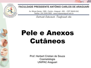 Pele e Anexos
Cutâneos
Prof. Herbert Cristian de Souza
Cosmetologia
UNIPAC Araguari
 
