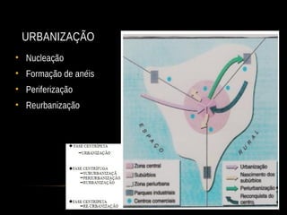 URBANIZAÇÃO
• Nucleação
• Formação de anéis
• Periferização
• Reurbanização
 